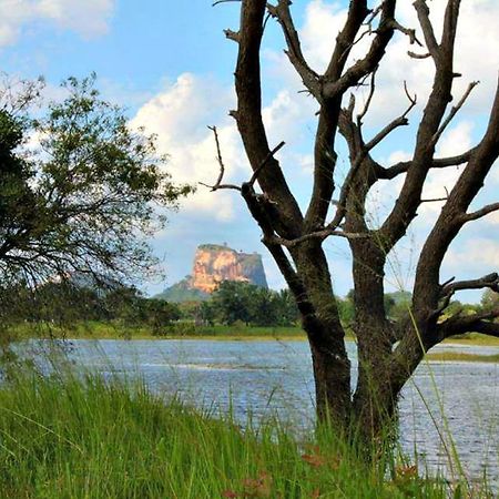 Rho Sigiriya Lake Edge Retreat Kibissa Exteriér fotografie