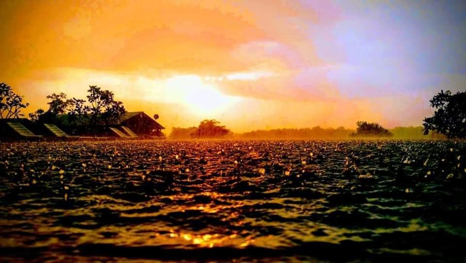 Rho Sigiriya Lake Edge Retreat Kibissa Exteriér fotografie