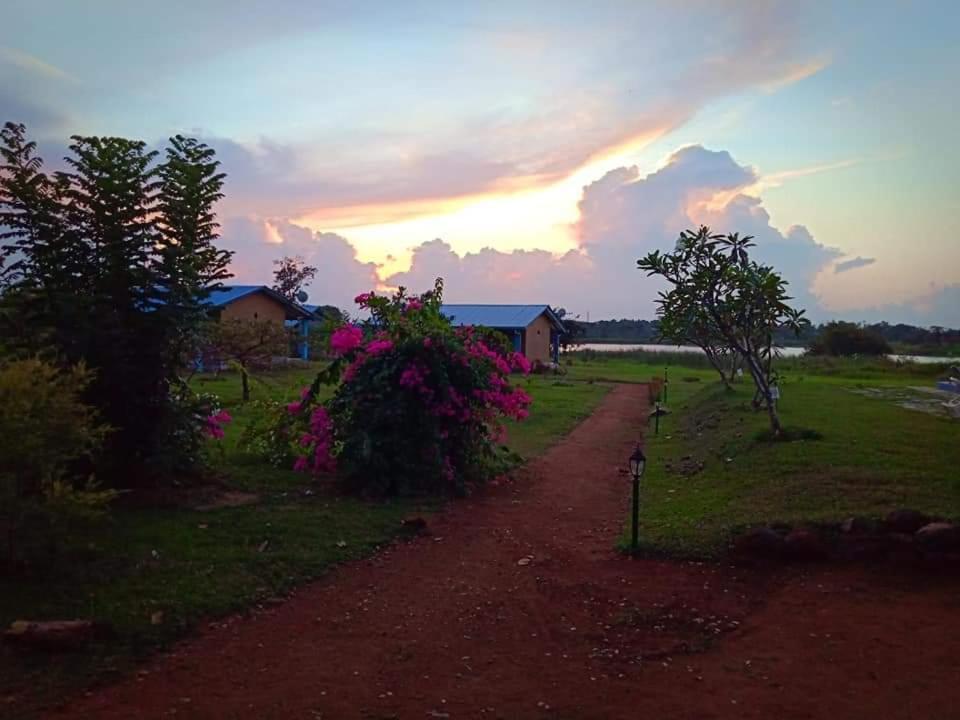 Rho Sigiriya Lake Edge Retreat Kibissa Exteriér fotografie