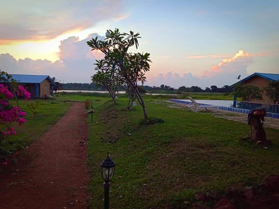 Rho Sigiriya Lake Edge Retreat Kibissa Exteriér fotografie