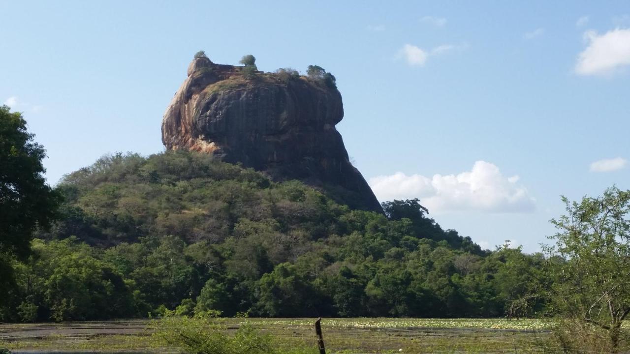 Rho Sigiriya Lake Edge Retreat Kibissa Exteriér fotografie