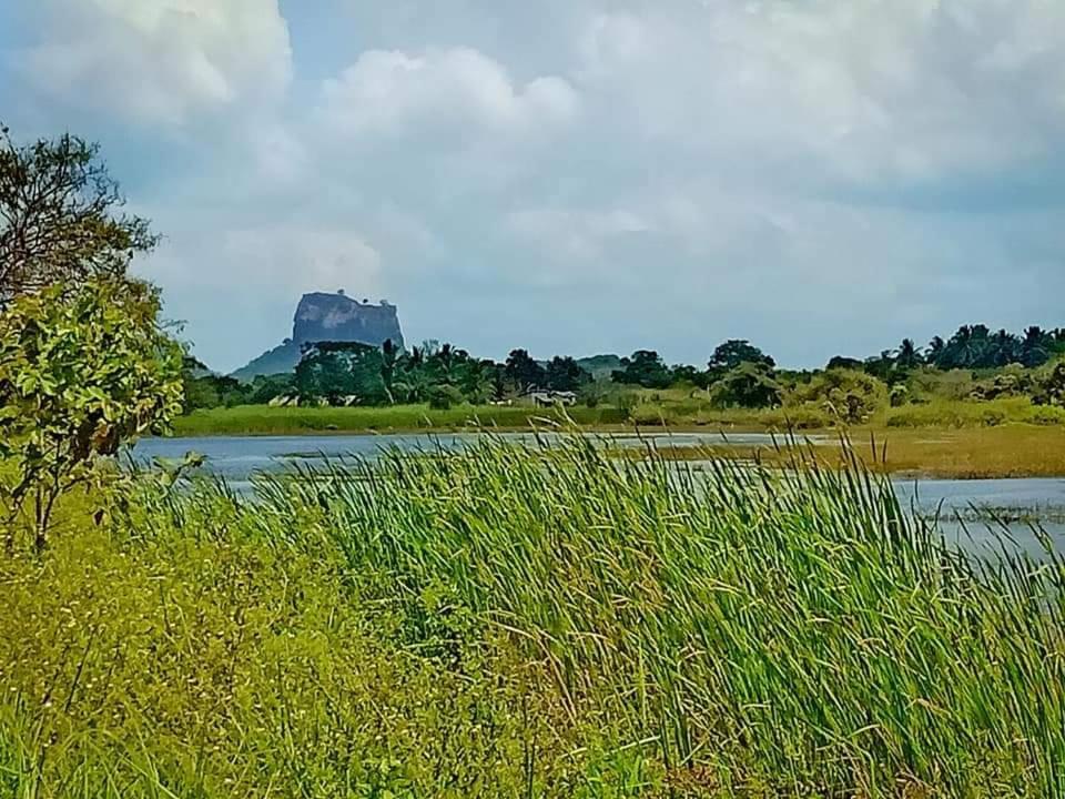 Rho Sigiriya Lake Edge Retreat Kibissa Exteriér fotografie