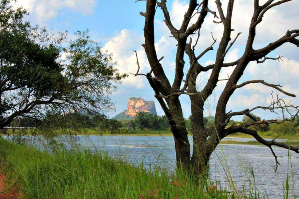 Rho Sigiriya Lake Edge Retreat Kibissa Exteriér fotografie