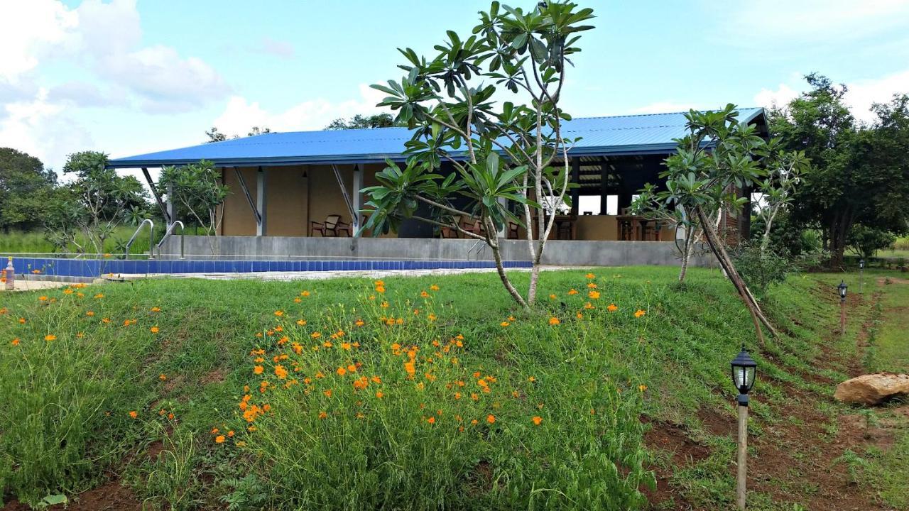 Rho Sigiriya Lake Edge Retreat Kibissa Exteriér fotografie